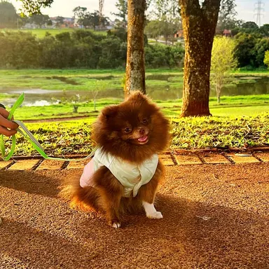 Meg depois da perda de peso, pronta para o passeio